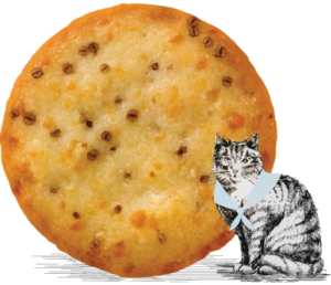 illustrated cat in front of one of our cheese sables