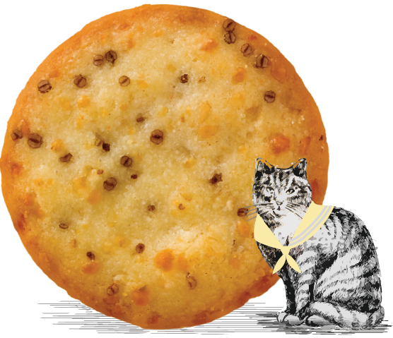 Illustrated cat next to one of our Cheese Sablés